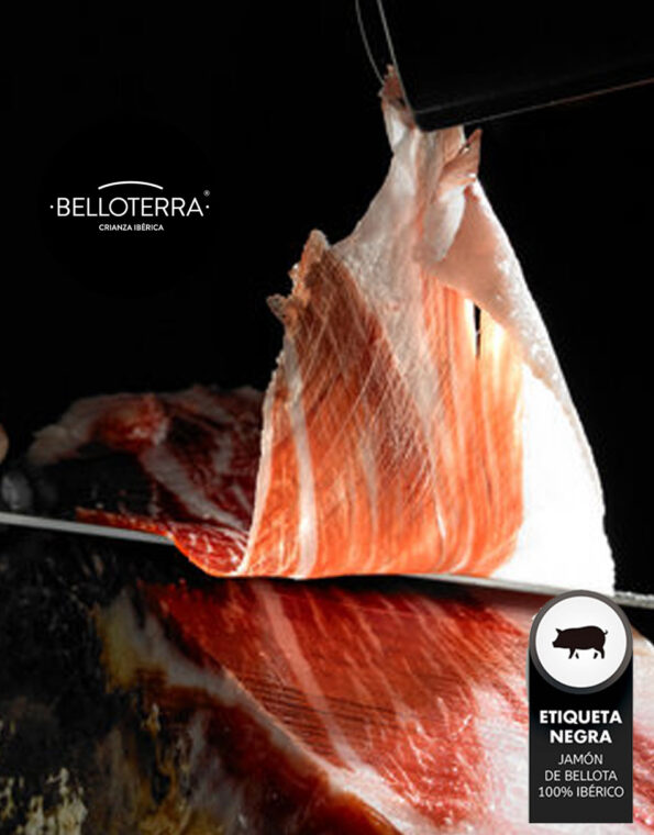 corte-de jamon y -paleta-bellota-100%-iberica-belloterra