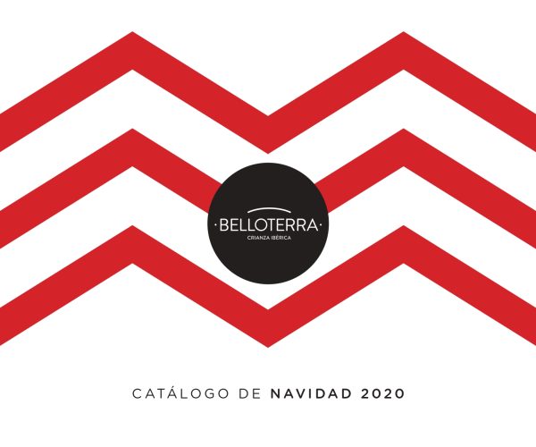 CATALOGO NAVIDAD 2020 WEB_page-0001