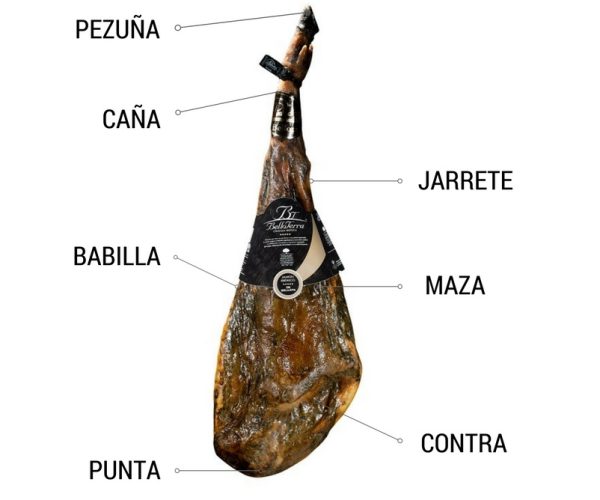 PARTES DEL JAMON