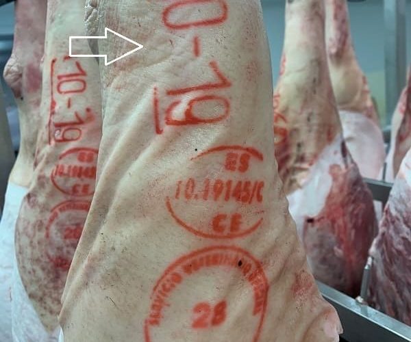 sello-mapa-iberico-que-es